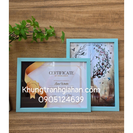 khung bằng khen 103 A4(21X30)