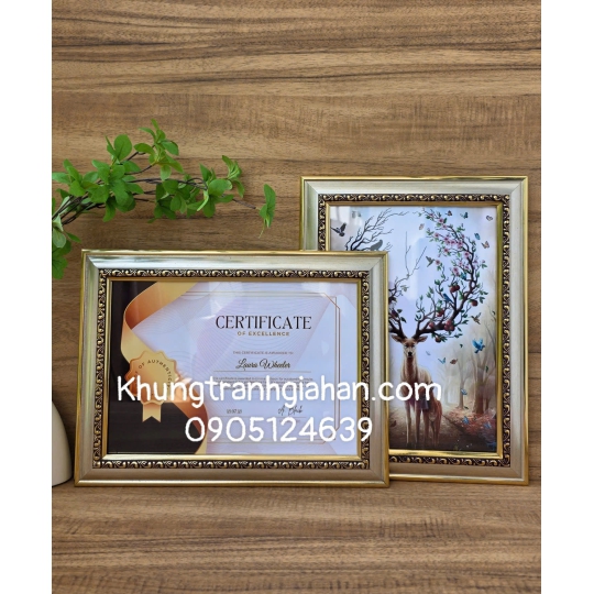 sỉ khung bằng khen 3707 A4(21X30)