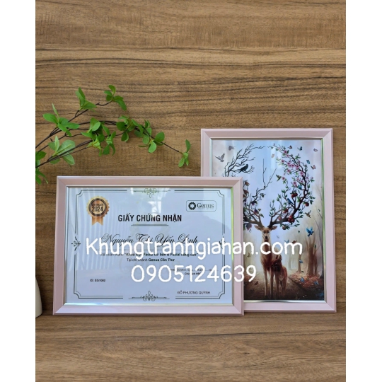 khung bằng khen HQ A4(21X30)